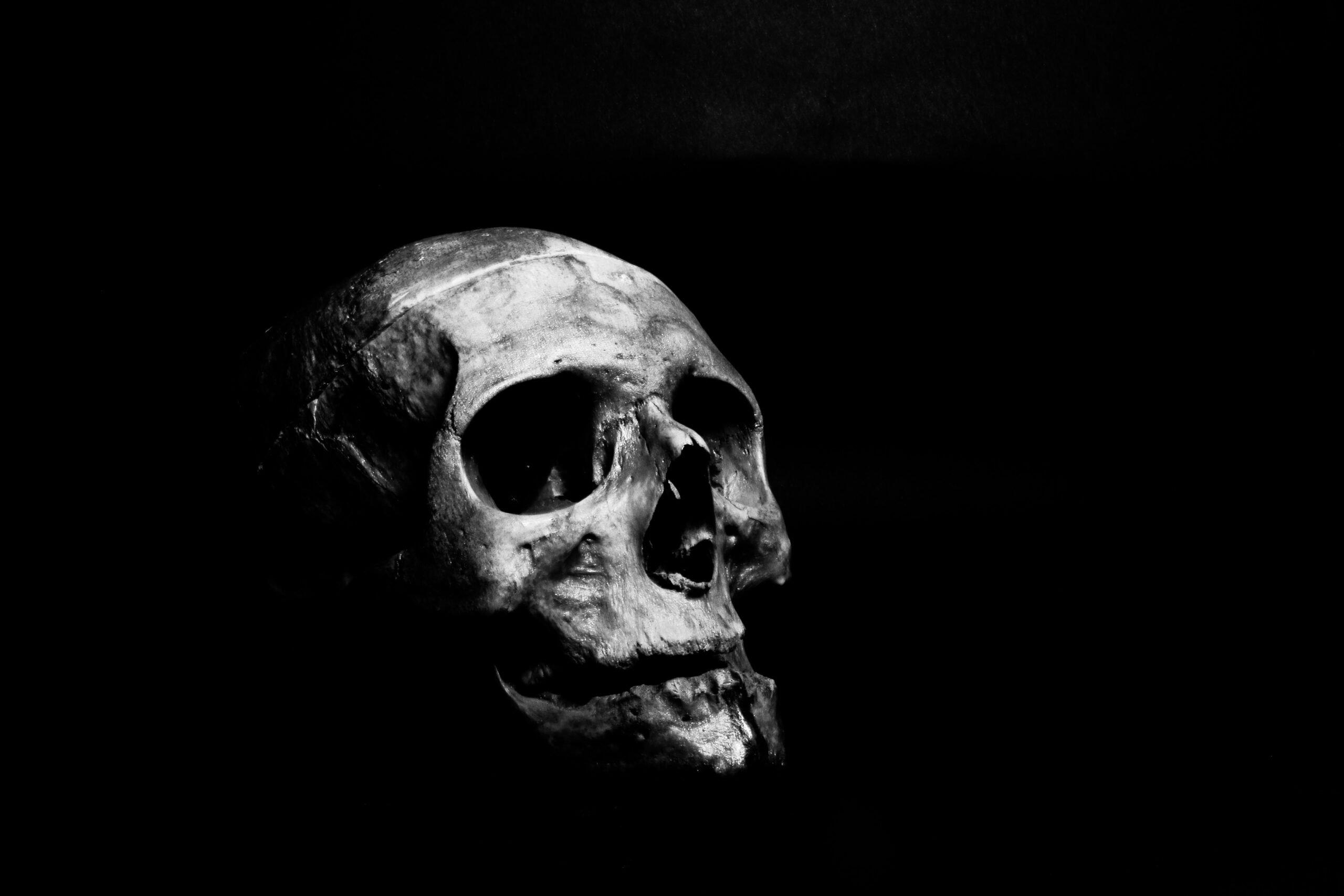 miedo craneo